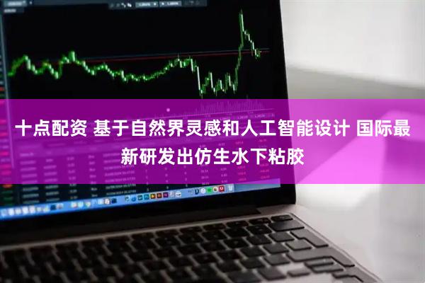 十点配资 基于自然界灵感和人工智能设计 国际最新研发出仿生水下粘胶
