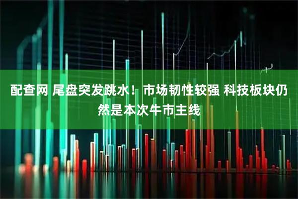 配查网 尾盘突发跳水！市场韧性较强 科技板块仍然是本次牛市主线