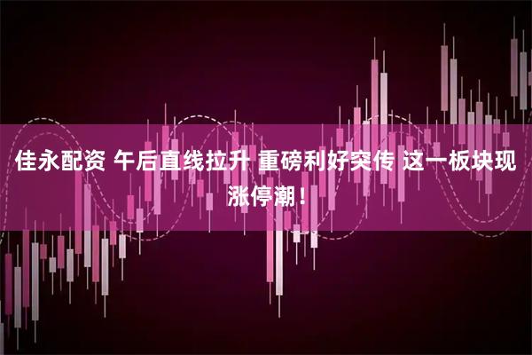 佳永配资 午后直线拉升 重磅利好突传 这一板块现涨停潮！