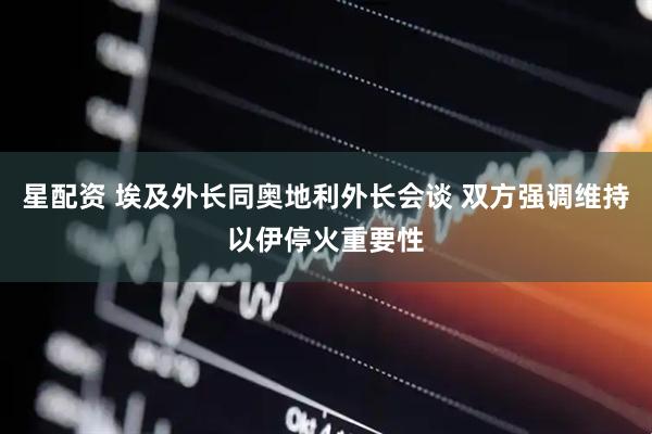 星配资 埃及外长同奥地利外长会谈 双方强调维持以伊停火重要性