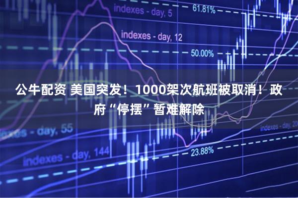 公牛配资 美国突发！1000架次航班被取消！政府“停摆”暂难解除